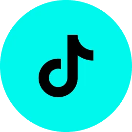Instagram Icon