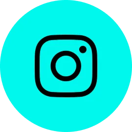 Instagram Icon